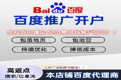 案例解读：网络推广与竞价策略